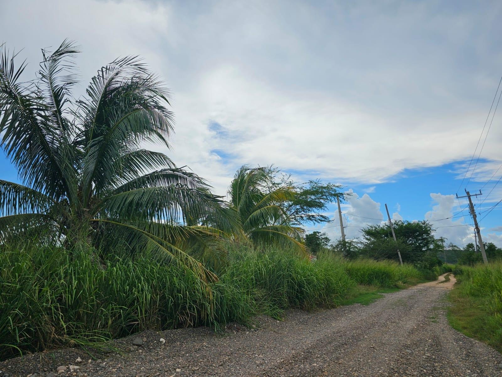 Seventh image of 138 Colbeck Plantation in Old Harbour, St. Catherine, Jamaica - property is For Sale