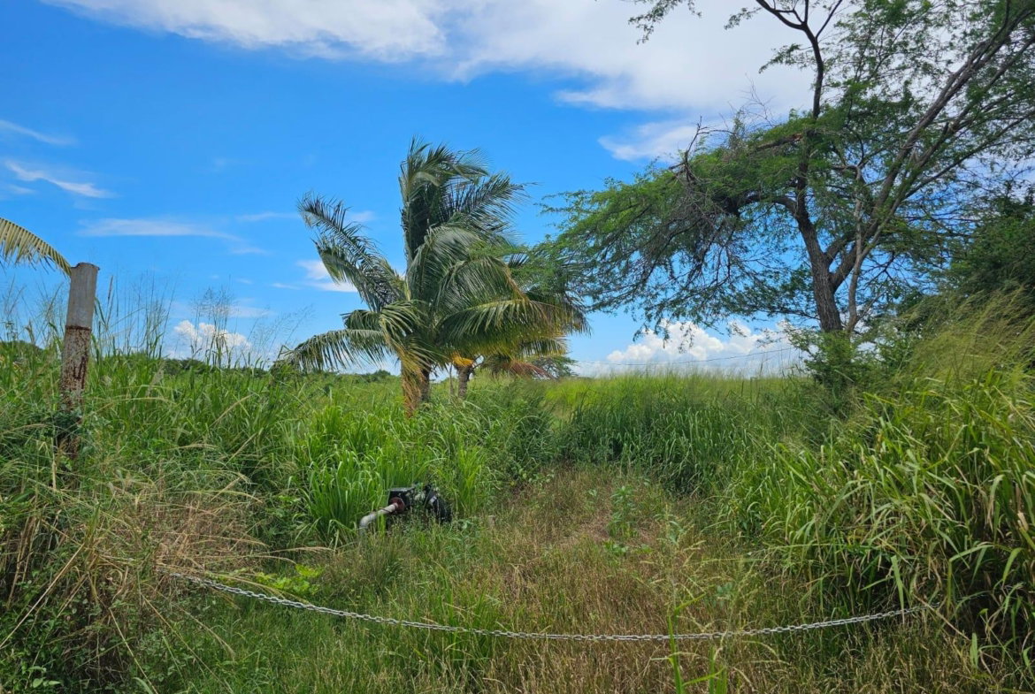 Eighth image of 138 Colbeck Plantation in Old Harbour, St. Catherine, Jamaica - property is For Sale