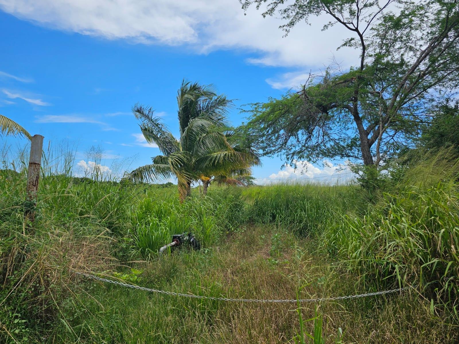 Eighth image of 138 Colbeck Plantation in Old Harbour, St. Catherine, Jamaica - property is For Sale