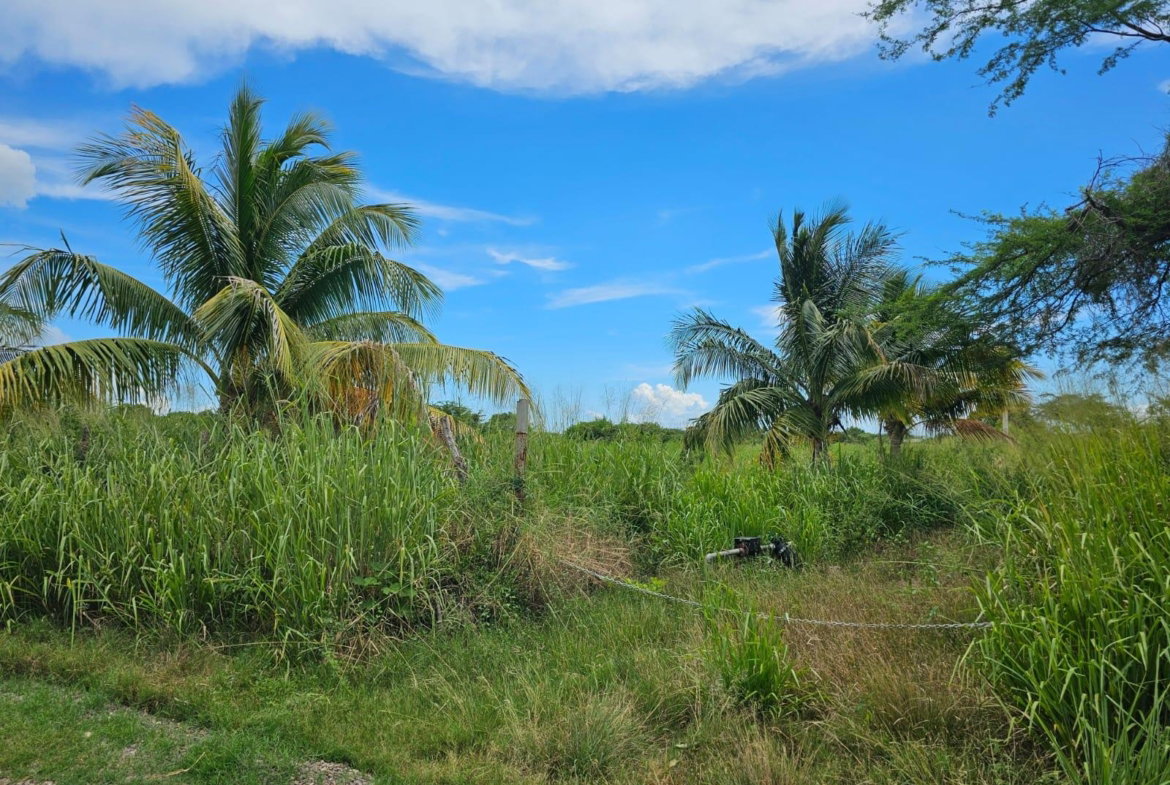 Ninth image of 138 Colbeck Plantation in Old Harbour, St. Catherine, Jamaica - property is For Sale