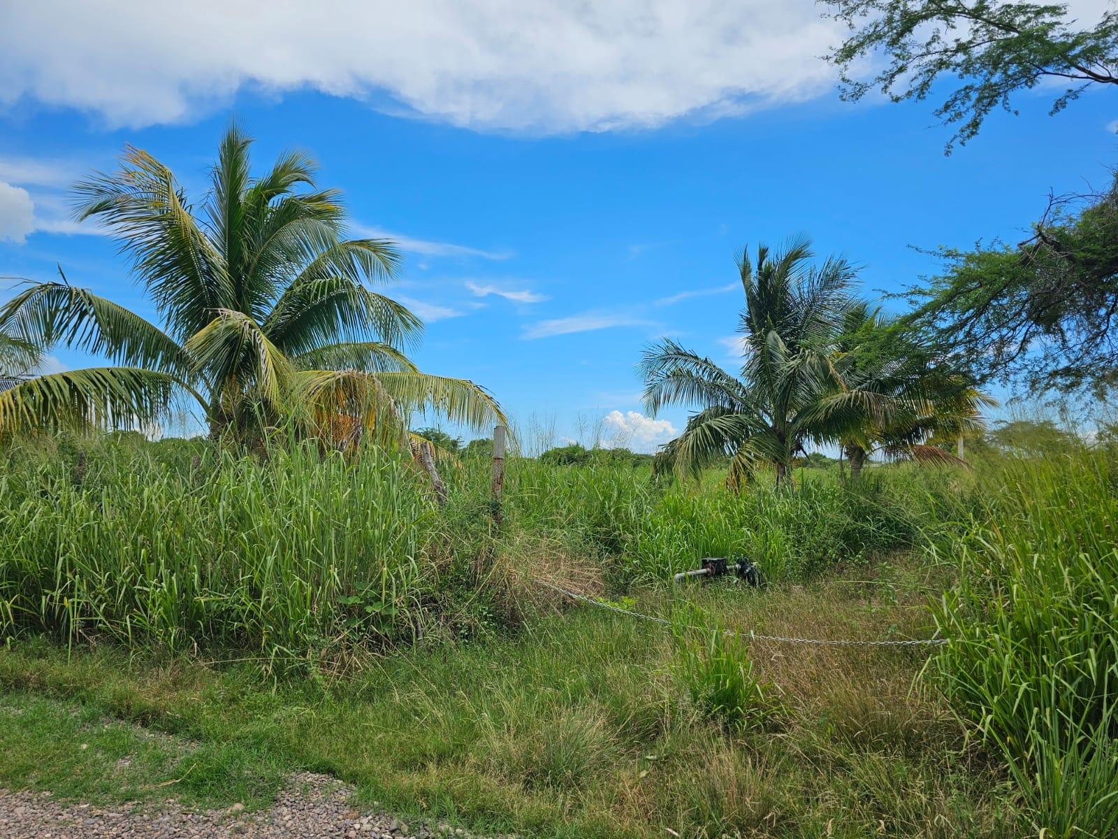 Ninth image of 138 Colbeck Plantation in Old Harbour, St. Catherine, Jamaica - property is For Sale