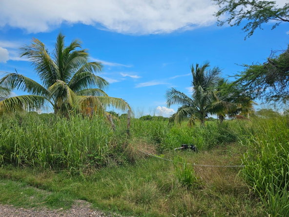 Ninth image of 138 Colbeck Plantation in Old Harbour, St. Catherine, Jamaica - property is For Sale