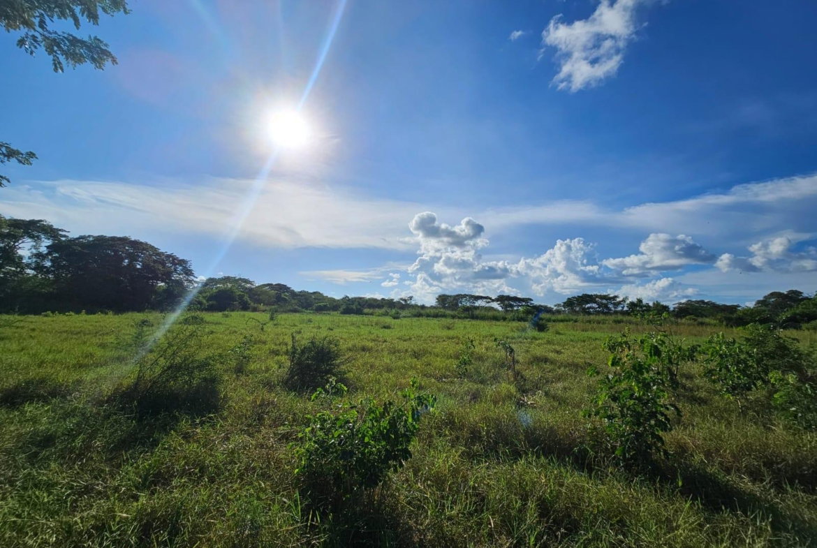 Second image of Bushy Park in Bushy Park, St. Catherine, Jamaica - property is For Sale
