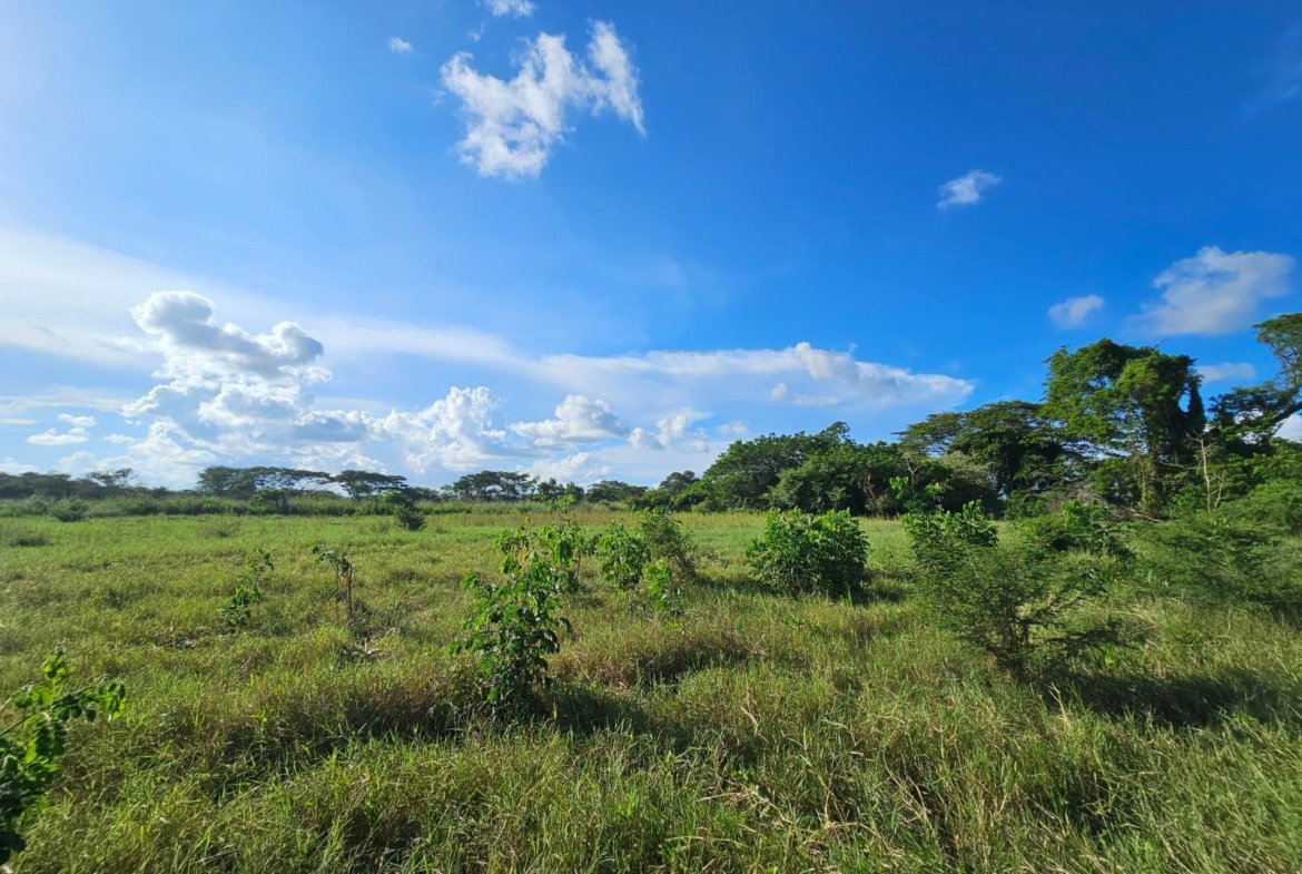 First image of Bushy Park in Bushy Park, St. Catherine, Jamaica - property is For Sale