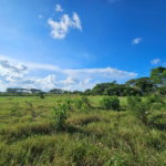 First image of Bushy Park in Bushy Park, St. Catherine, Jamaica - property is For Sale