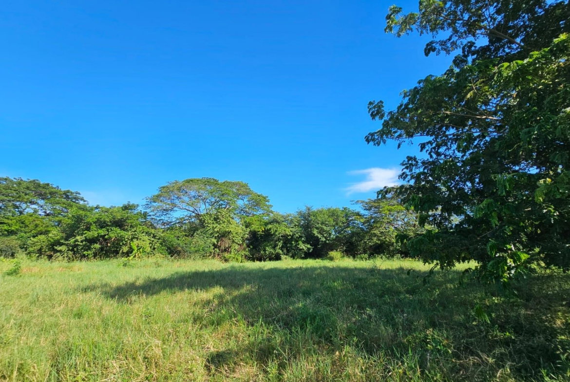 Third image of Bushy Park in Bushy Park, St. Catherine, Jamaica - property is For Sale