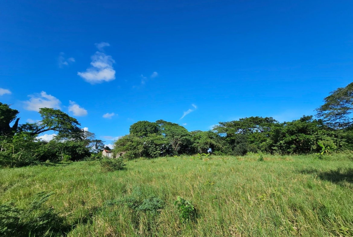 Fourth image of Bushy Park in Bushy Park, St. Catherine, Jamaica - property is For Sale