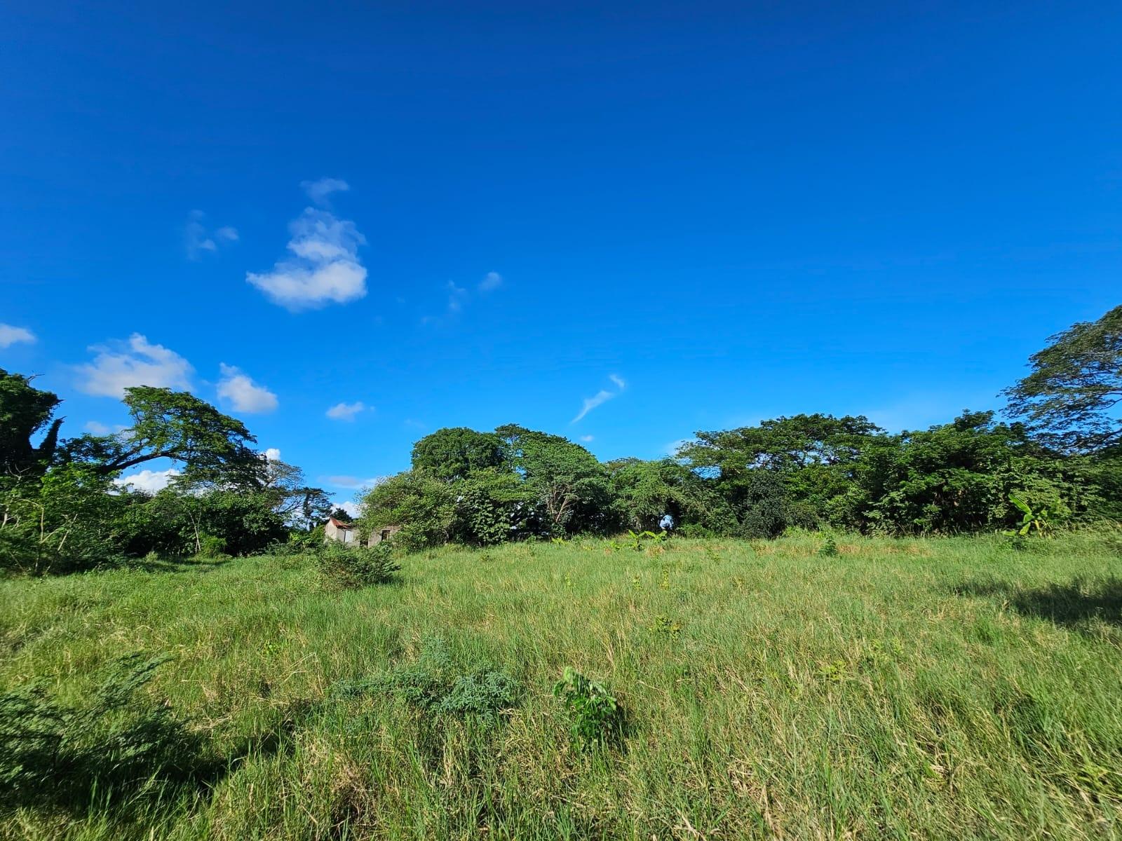 Prime-5.6-Acre-Agricultural-Land-for-Sale-in-Bushy-Park-Jamaica Fourth image of Bushy Park in Bushy Park, St. Catherine, Jamaica - property is For Sale