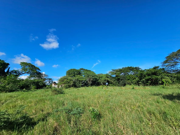 Fourth image of Bushy Park in Bushy Park, St. Catherine, Jamaica - property is For Sale