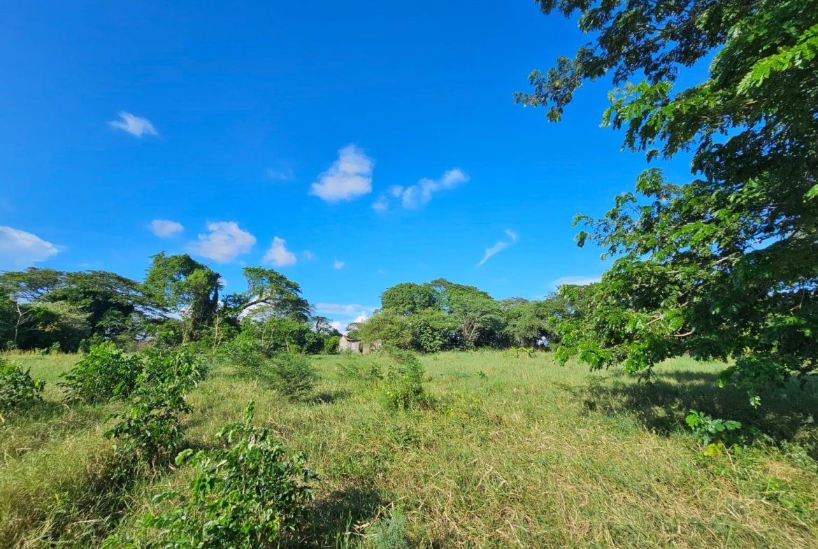 Fifth image of Bushy Park in Bushy Park, St. Catherine, Jamaica - property is For Sale