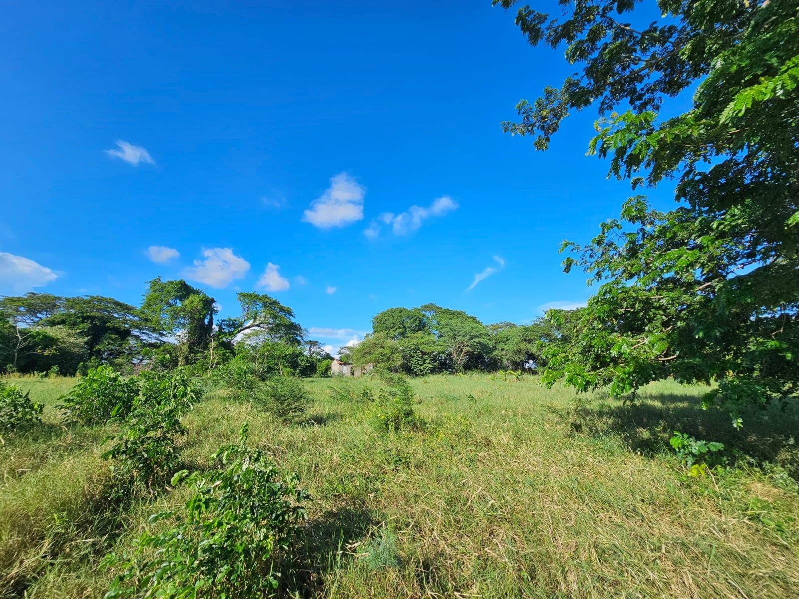 Prime-5.6-Acre-Agricultural-Land-for-Sale-in-Bushy-Park-Jamaica Fifth image of Bushy Park in Bushy Park, St. Catherine, Jamaica - property is For Sale