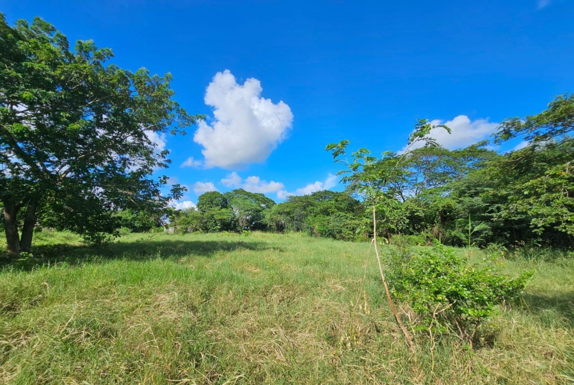 Sixth image of Bushy Park in Bushy Park, St. Catherine, Jamaica - property is For Sale