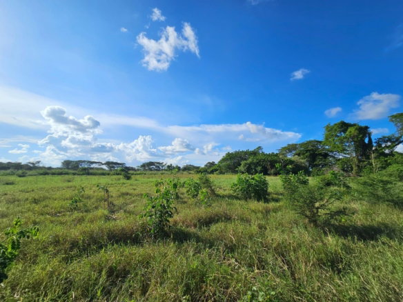 First image of Bushy Park in Bushy Park, St. Catherine, Jamaica - property is For Sale