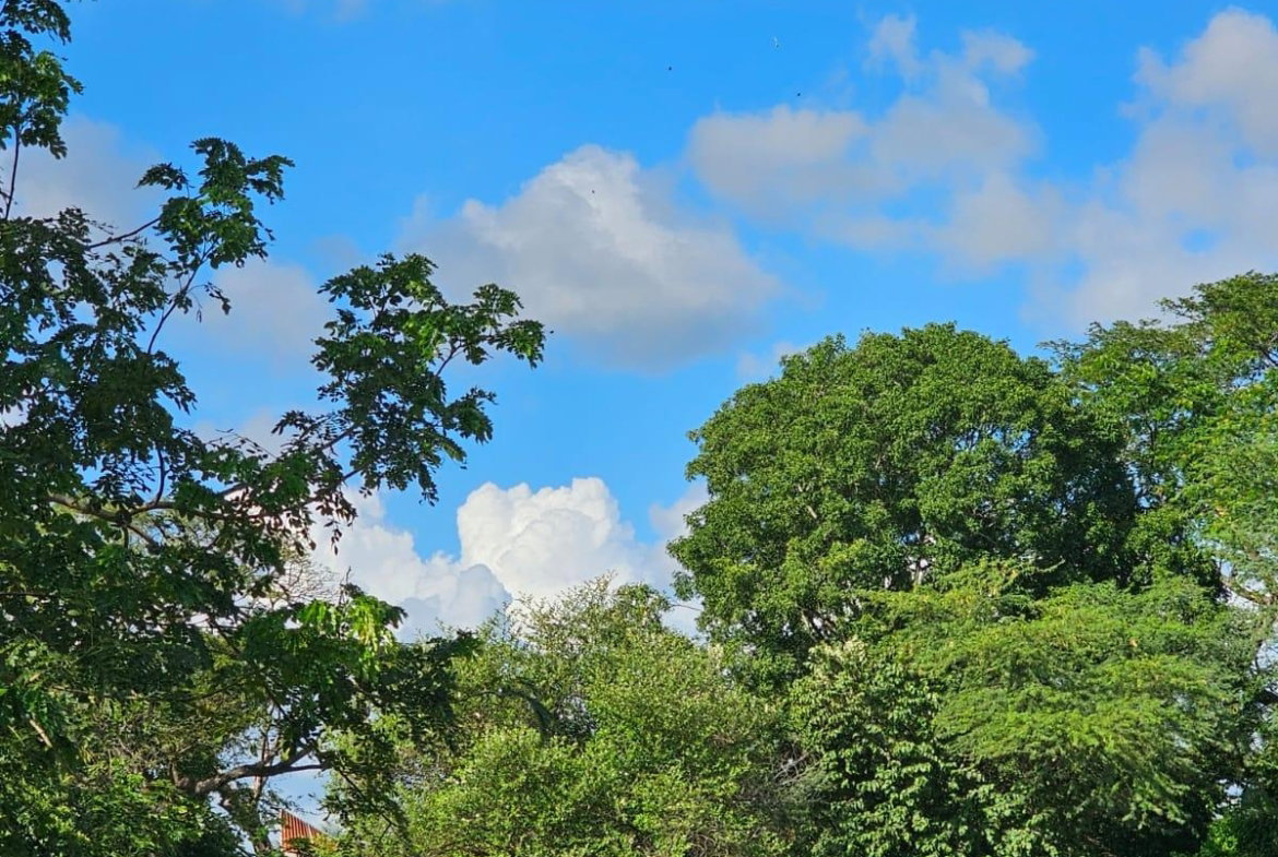 Seventh image of Bushy Park in Bushy Park, St. Catherine, Jamaica - property is For Sale