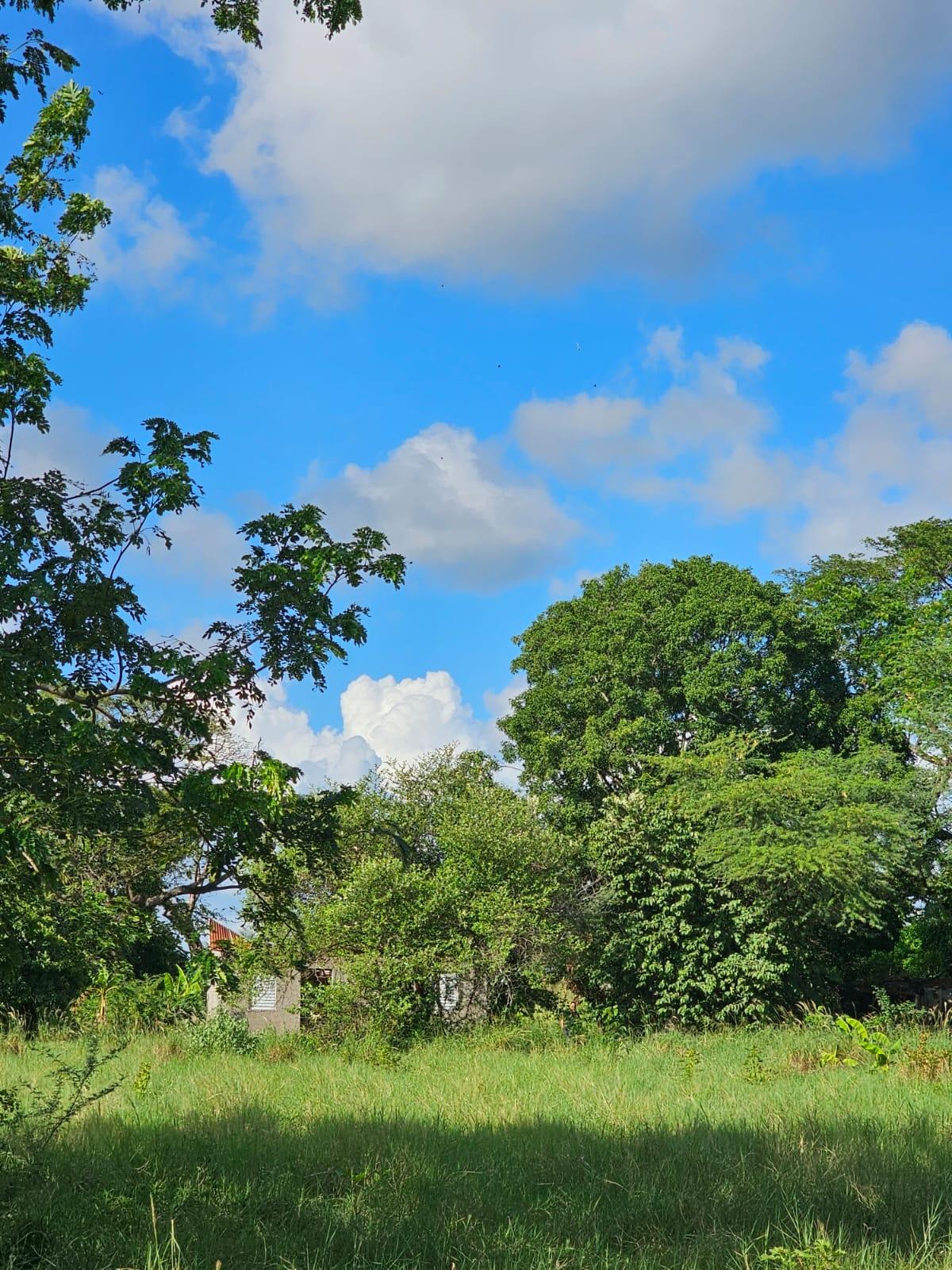 Prime-5.6-Acre-Agricultural-Land-for-Sale-in-Bushy-Park-Jamaica Seventh image of Bushy Park in Bushy Park, St. Catherine, Jamaica - property is For Sale