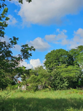 Seventh image of Bushy Park in Bushy Park, St. Catherine, Jamaica - property is For Sale