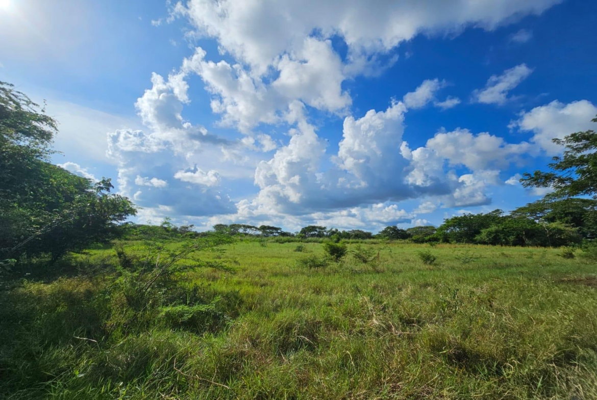 Ninth image of Bushy Park in Bushy Park, St. Catherine, Jamaica - property is For Sale
