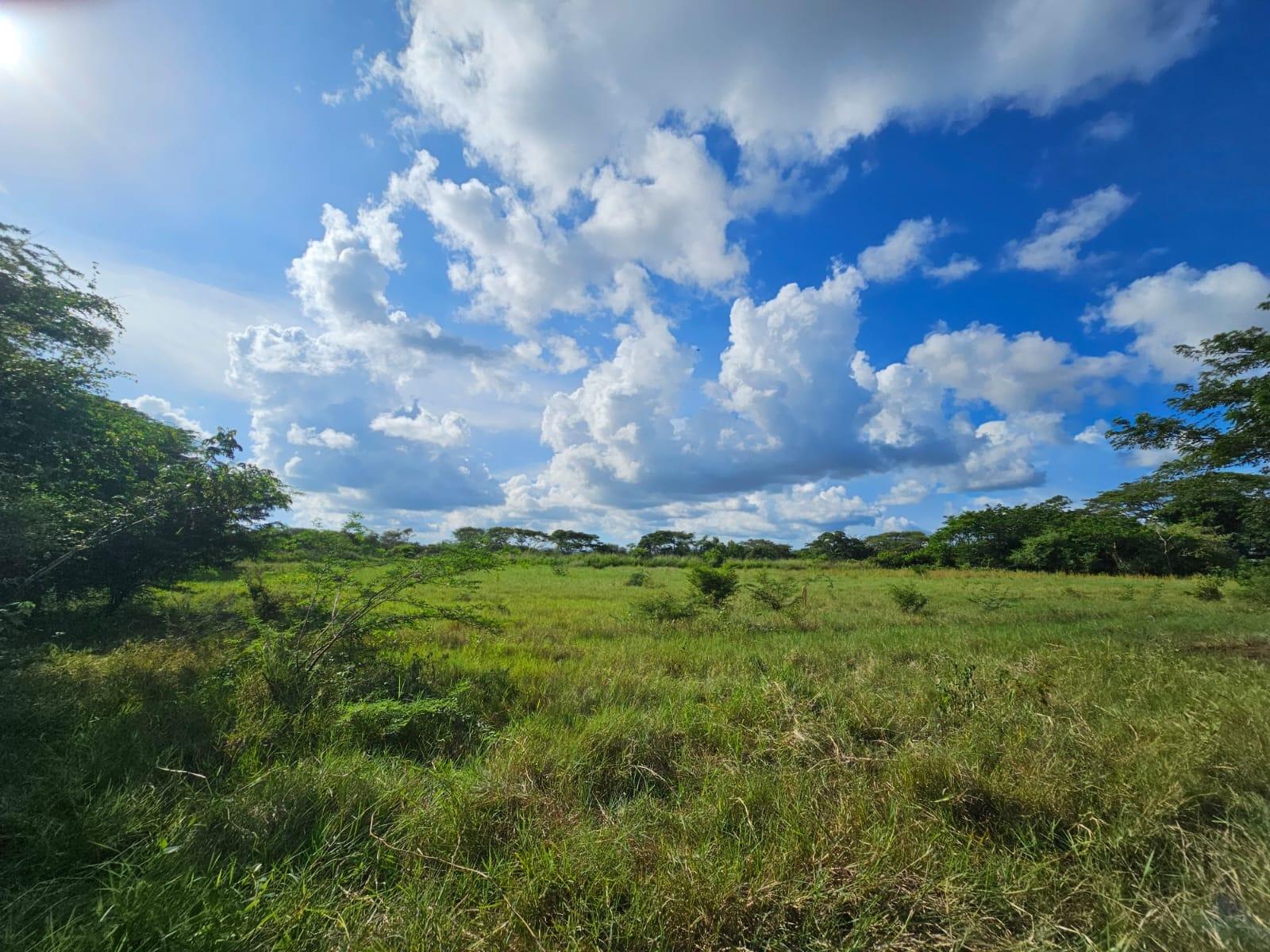 Prime-5.6-Acre-Agricultural-Land-for-Sale-in-Bushy-Park-Jamaica Ninth image of Bushy Park in Bushy Park, St. Catherine, Jamaica - property is For Sale