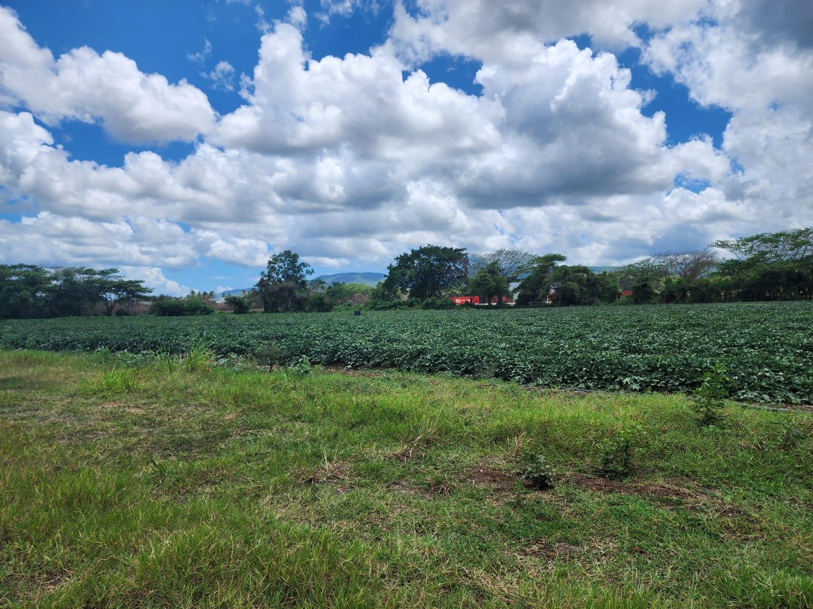 Second image of Lot 1-toll Gate Heifers Run, Clarendon in Toll Gate, Clarendon, Jamaica - property is For Sale