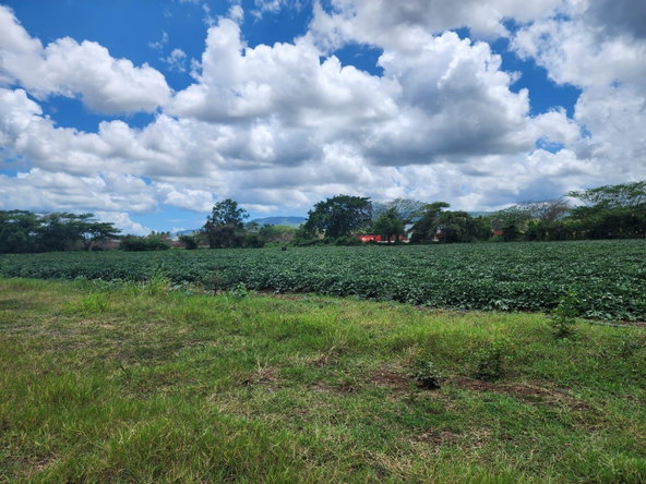 Second image of Lot 1-toll Gate Heifers Run, Clarendon in Toll Gate, Clarendon, Jamaica - property is For Sale