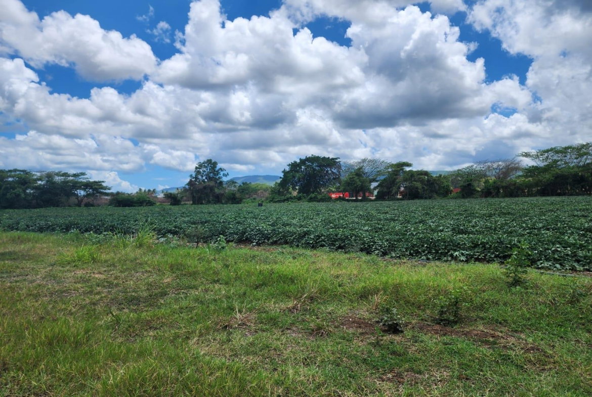 First image of Lot 1-toll Gate Heifers Run, Clarendon in Toll Gate, Clarendon, Jamaica - property is For Sale