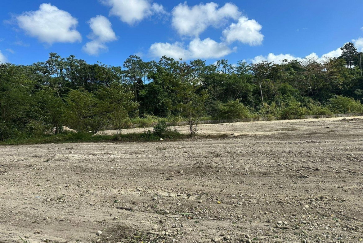 First image of Part of Retirement Estate in Retirement Estate, St. James, Jamaica - property is For Sale