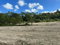 First image of Part of Retirement Estate in Retirement Estate, St. James, Jamaica - property is For Sale