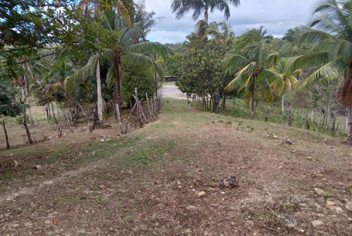 Third image of Ducketts Road in Cambridge, St. James, Jamaica - property is For Sale
