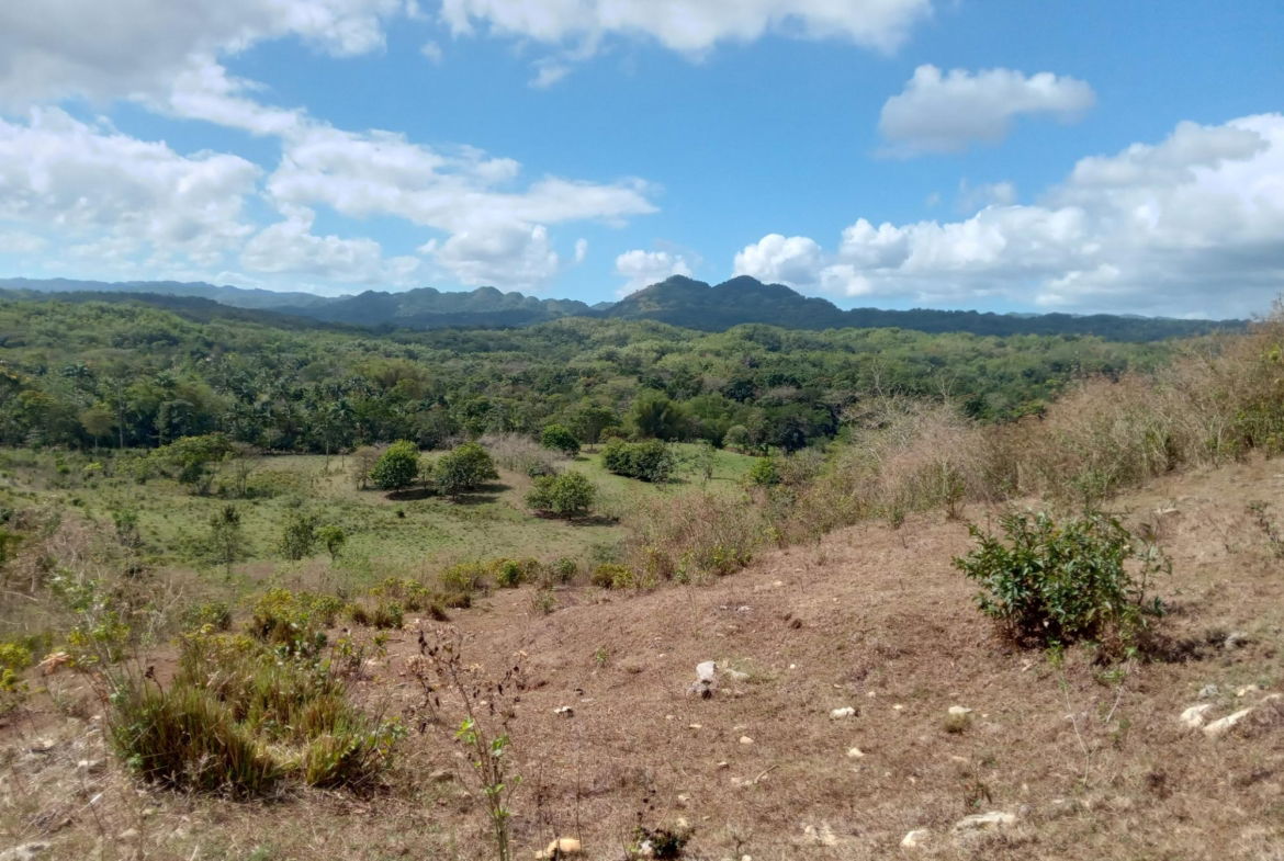 Fourth image of Ducketts Road in Cambridge, St. James, Jamaica - property is For Sale