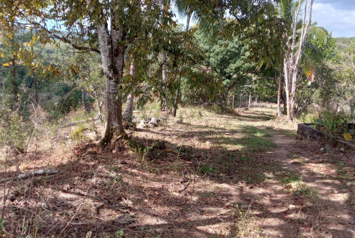 Fifth image of Ducketts Road in Cambridge, St. James, Jamaica - property is For Sale