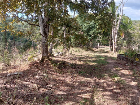Fifth image of Ducketts Road in Cambridge, St. James, Jamaica - property is For Sale