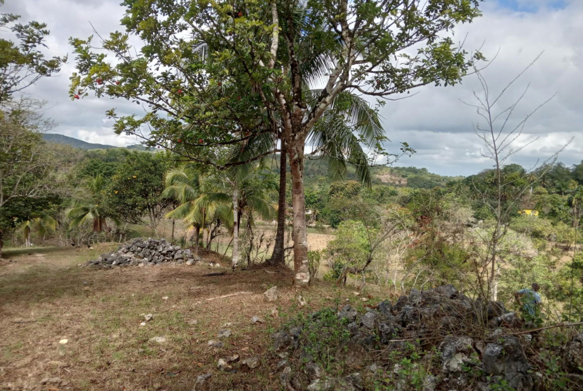 Sixth image of Ducketts Road in Cambridge, St. James, Jamaica - property is For Sale