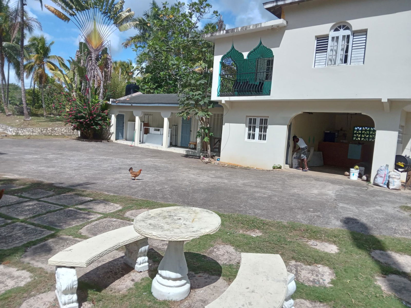Prime-Cattle-Farm-for-Sale-in-St.-James-Jamaica-Investment-Opportunity Eighth image of Ducketts Road in Cambridge, St. James, Jamaica - property is For Sale