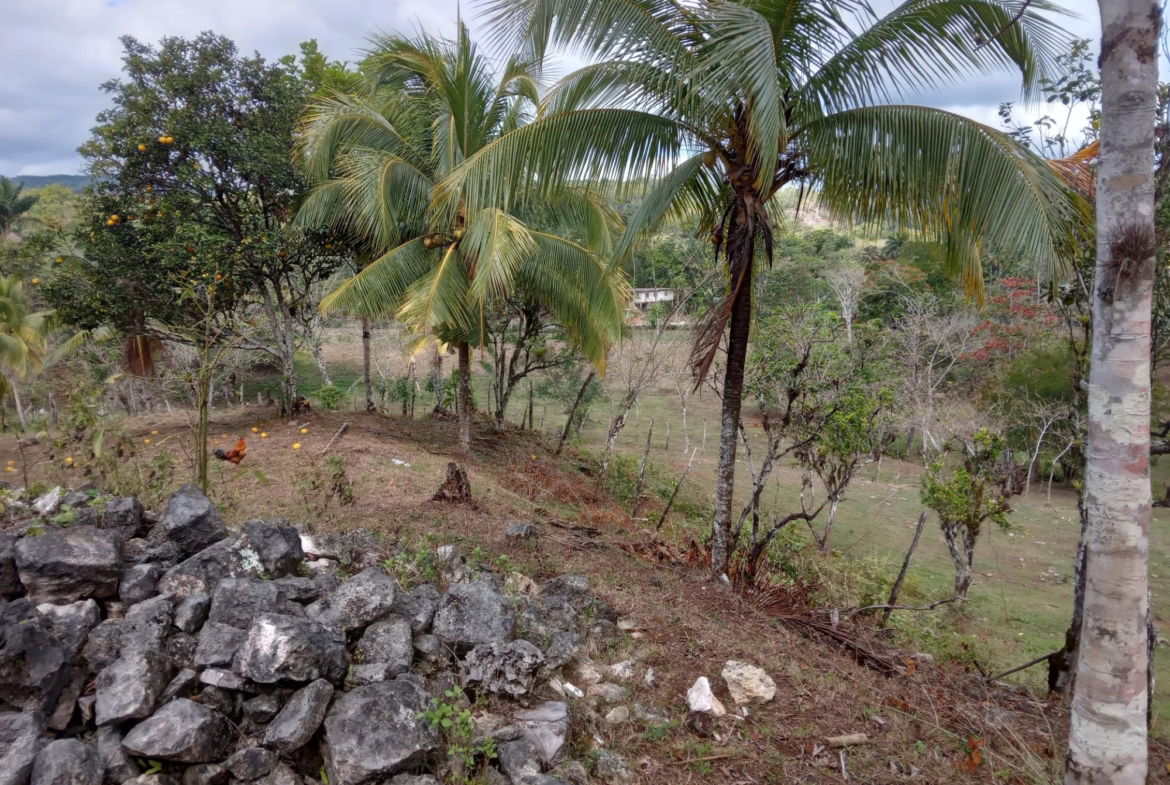 Ninth image of Ducketts Road in Cambridge, St. James, Jamaica - property is For Sale