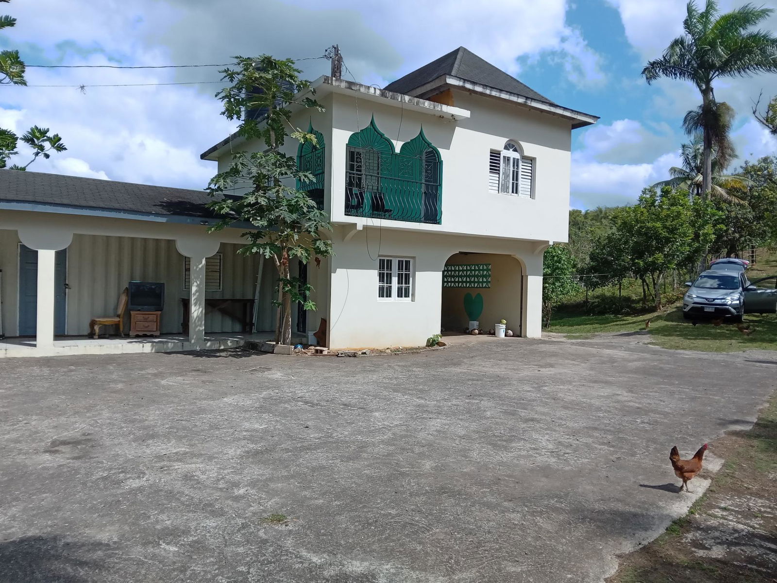 Prime-Cattle-Farm-for-Sale-in-St.-James-Jamaica-Investment-Opportunity First image of Ducketts Road in Cambridge, St. James, Jamaica - property is For Sale
