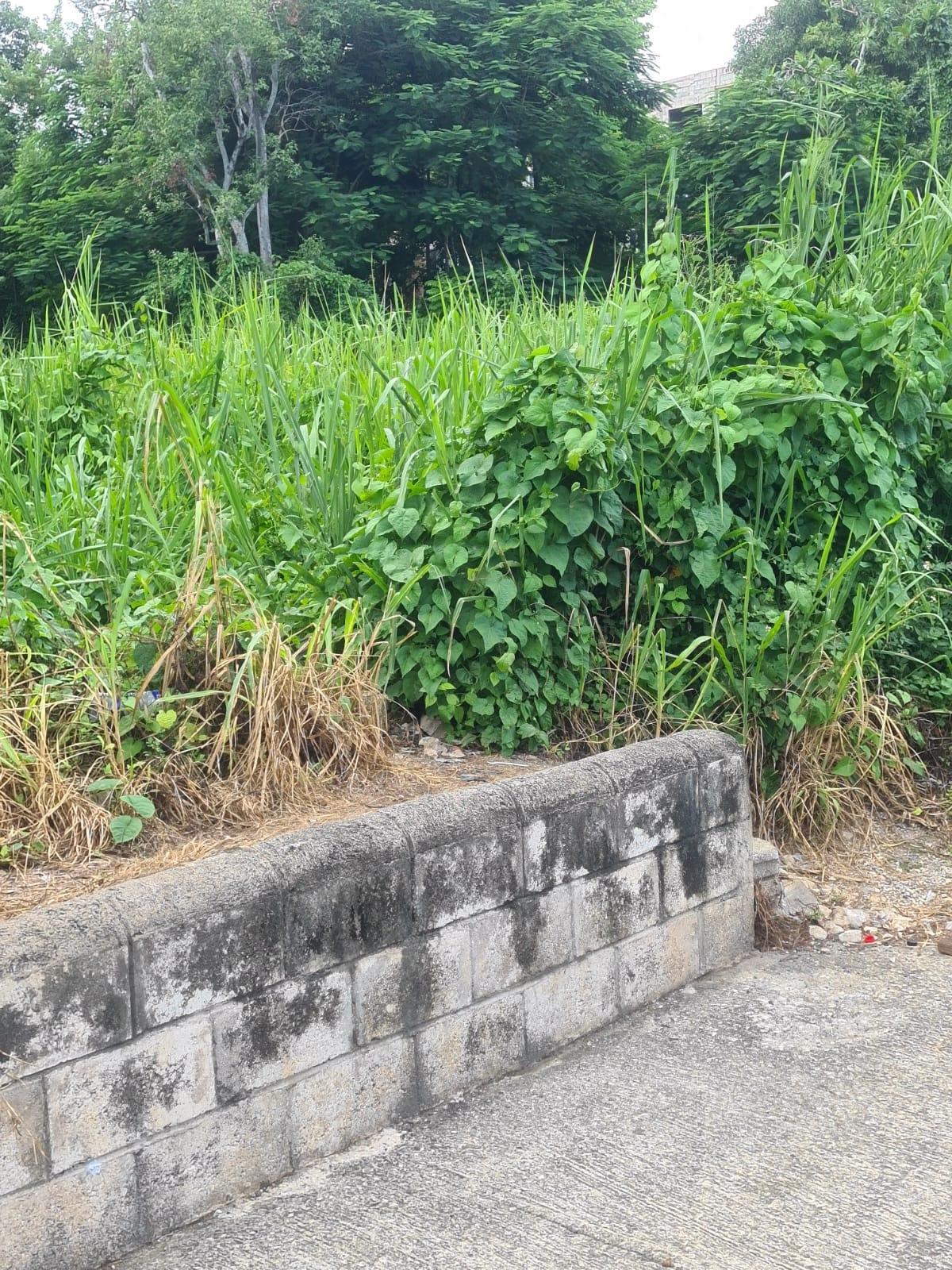 Second image of Reading Pen, St. James in Reading, St. James, Jamaica - property is For Rent