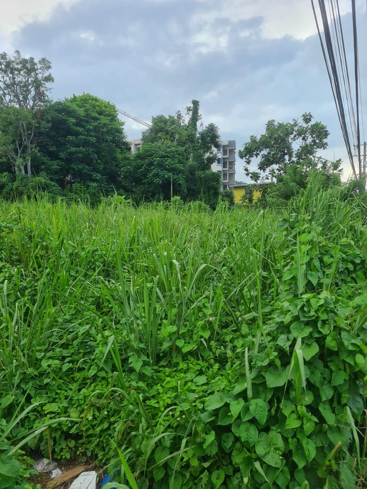 Fifth image of Reading Pen, St. James in Reading, St. James, Jamaica - property is For Rent