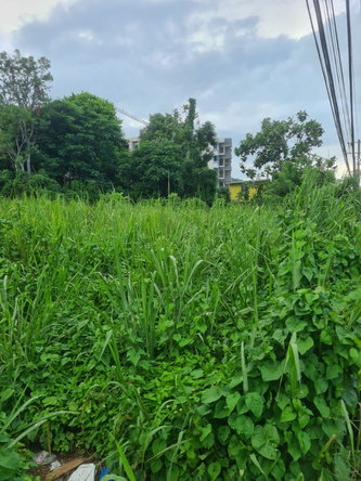 Fifth image of Reading Pen, St. James in Reading, St. James, Jamaica - property is For Rent