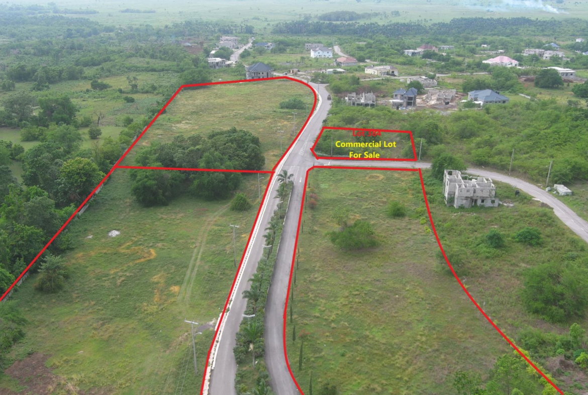 Sixth image of Lot 384 Palmbrook Estate in Lacovia, St. Elizabeth, Jamaica - property is For Sale