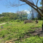 First image of 382 Duncan Avenue in DUNCAN BAY, Trelawny, Jamaica - property is For Sale