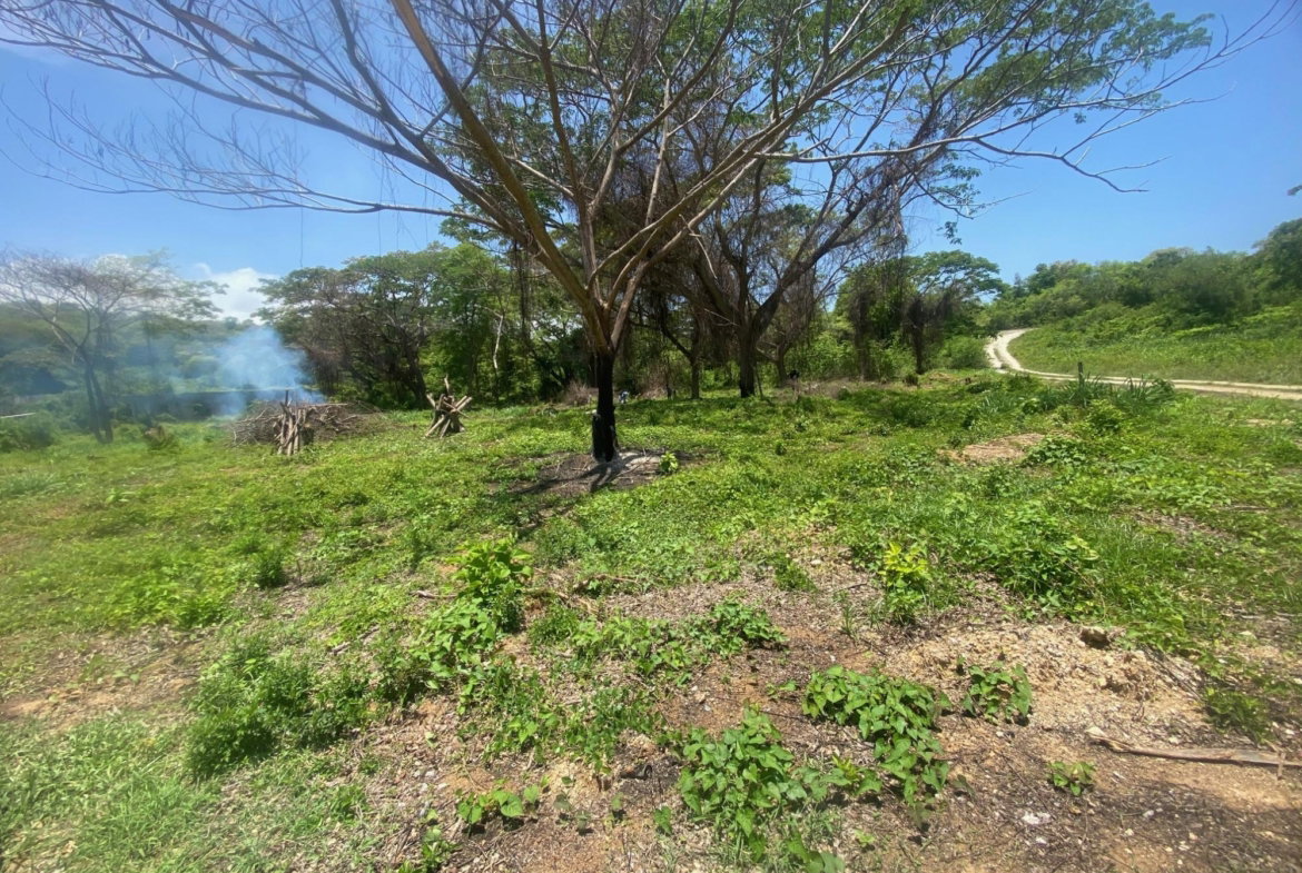 Third image of 382 Duncan Avenue in DUNCAN BAY, Trelawny, Jamaica - property is For Sale