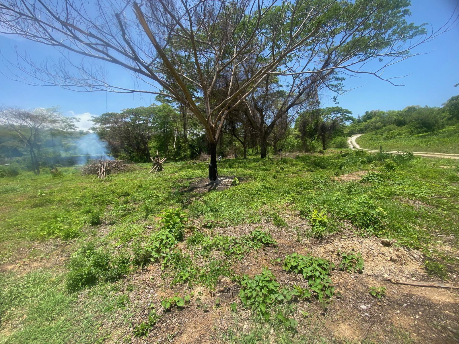 Third image of 382 Duncan Avenue in DUNCAN BAY, Trelawny, Jamaica - property is For Sale