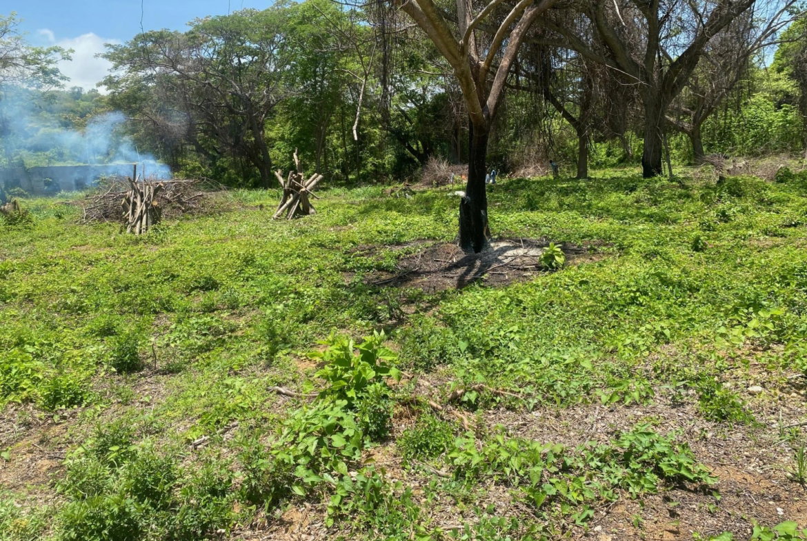 Fourth image of 382 Duncan Avenue in DUNCAN BAY, Trelawny, Jamaica - property is For Sale