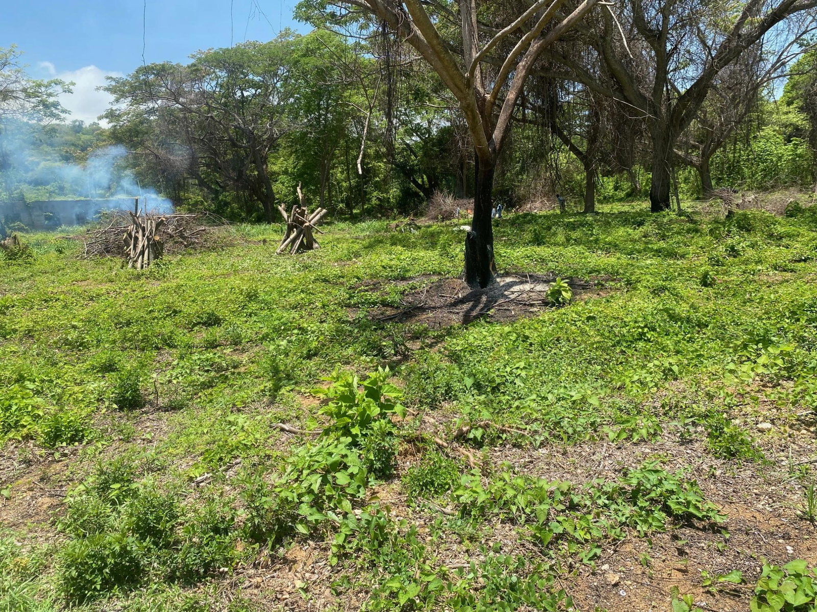 Fourth image of 382 Duncan Avenue in DUNCAN BAY, Trelawny, Jamaica - property is For Sale