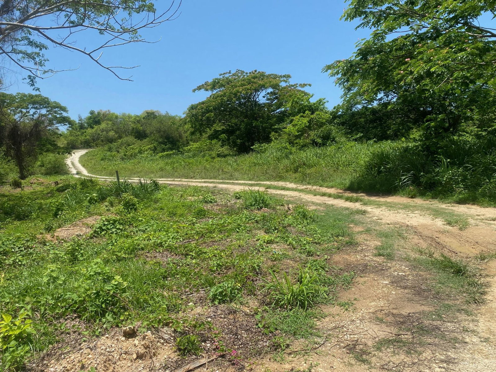 Sixth image of 382 Duncan Avenue in DUNCAN BAY, Trelawny, Jamaica - property is For Sale