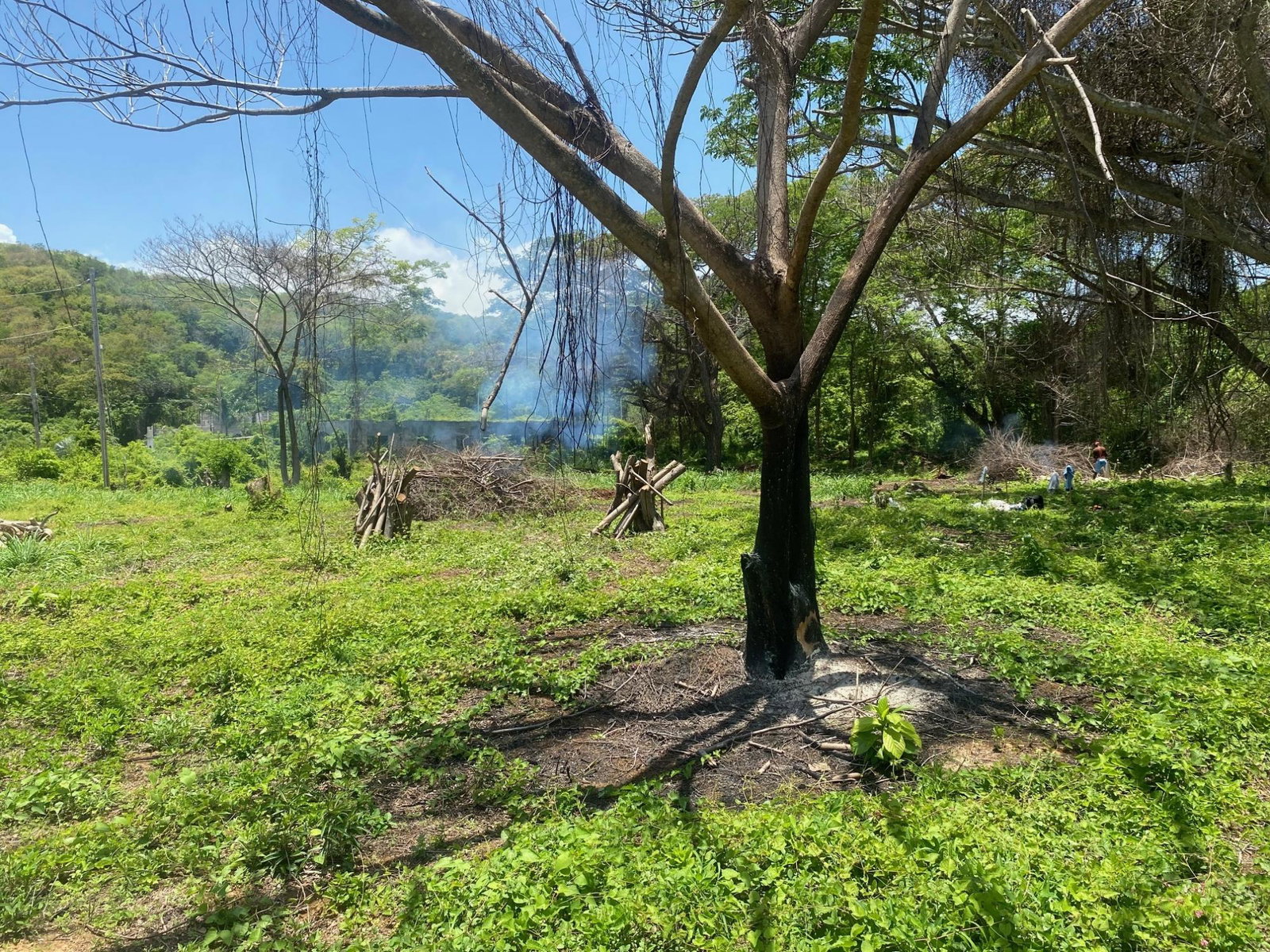 Seventh image of 382 Duncan Avenue in DUNCAN BAY, Trelawny, Jamaica - property is For Sale