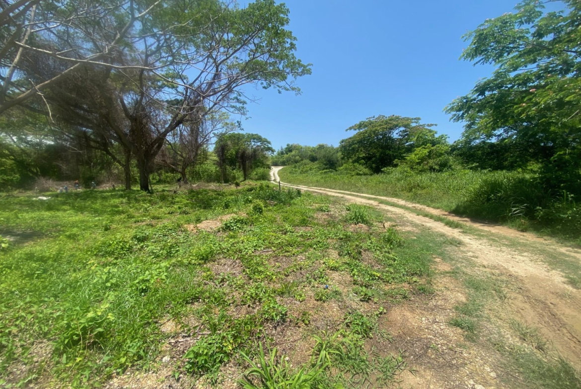 Ninth image of 382 Duncan Avenue in DUNCAN BAY, Trelawny, Jamaica - property is For Sale