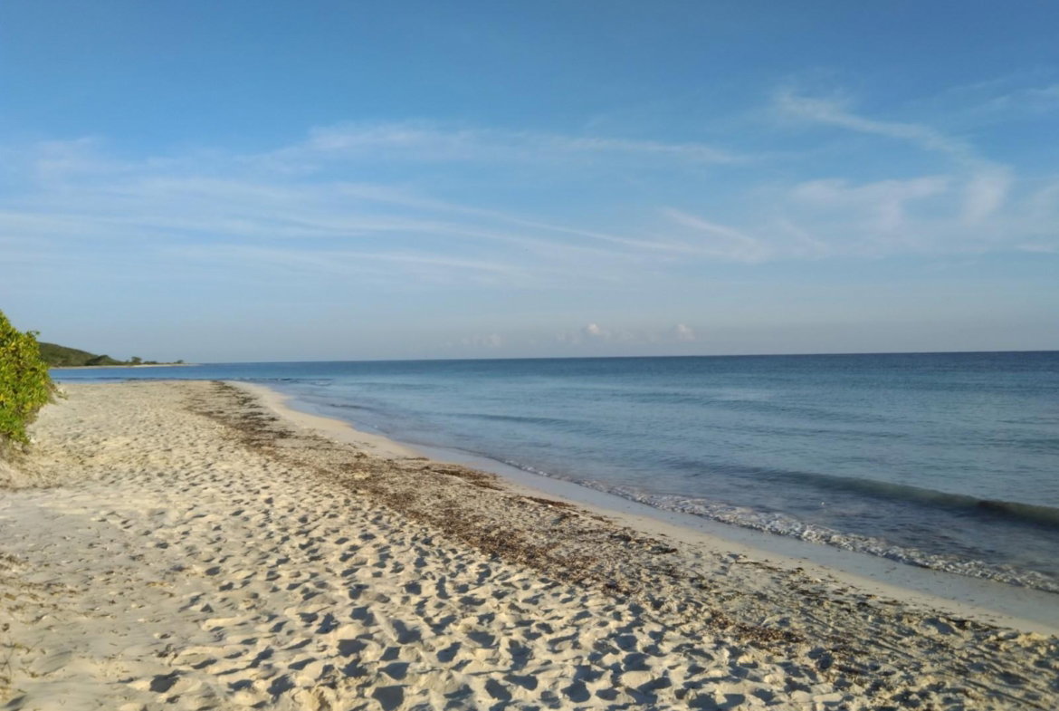 Fourteenth image of Lot 455 Duncans Avenue in DUNCAN BAY, Trelawny, Jamaica - property is For Sale