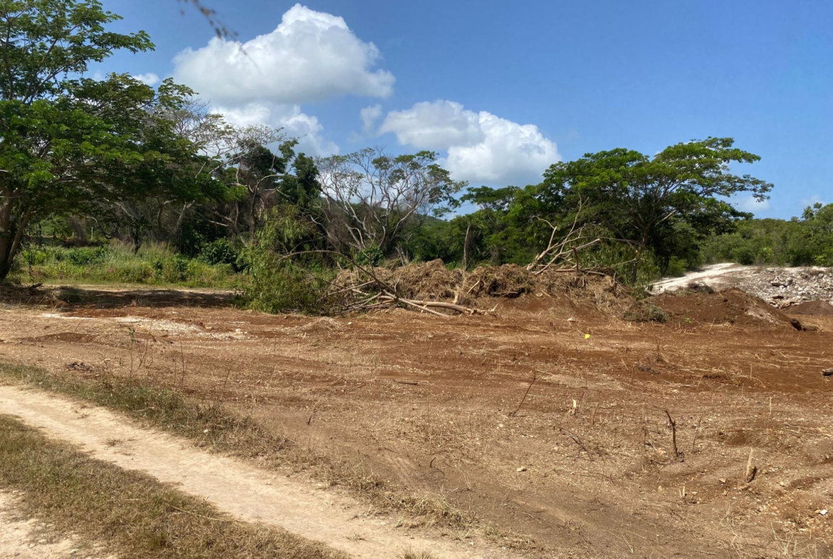 Seventeenth image of Lot 455 Duncans Avenue in DUNCAN BAY, Trelawny, Jamaica - property is For Sale