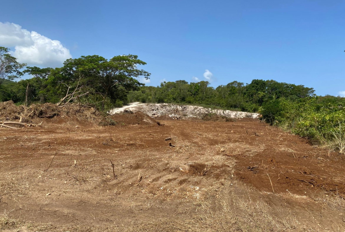 Nineteenth image of Lot 455 Duncans Avenue in DUNCAN BAY, Trelawny, Jamaica - property is For Sale